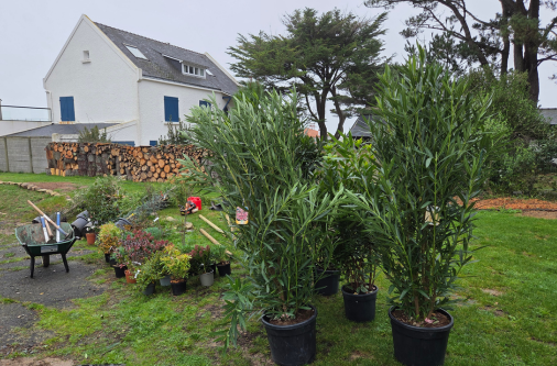 aménagement jardin 44 2