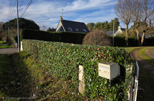 coupe haie 44