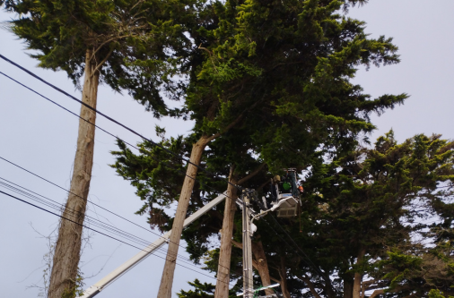 élagage arbre nacelle 44