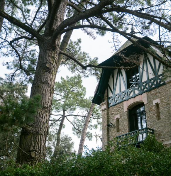 entretien jardin la baule