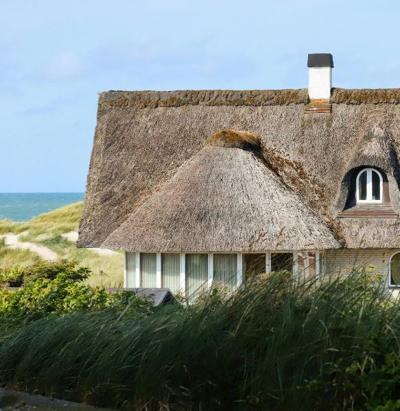 entretien jardin piriac sur mer