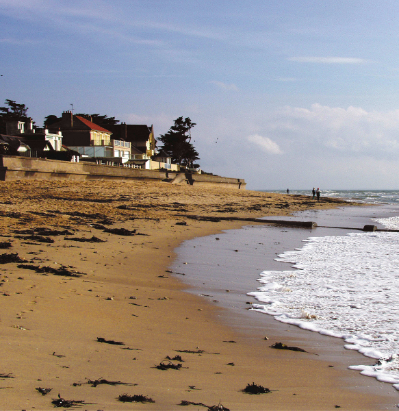 entretien jardin pornichet